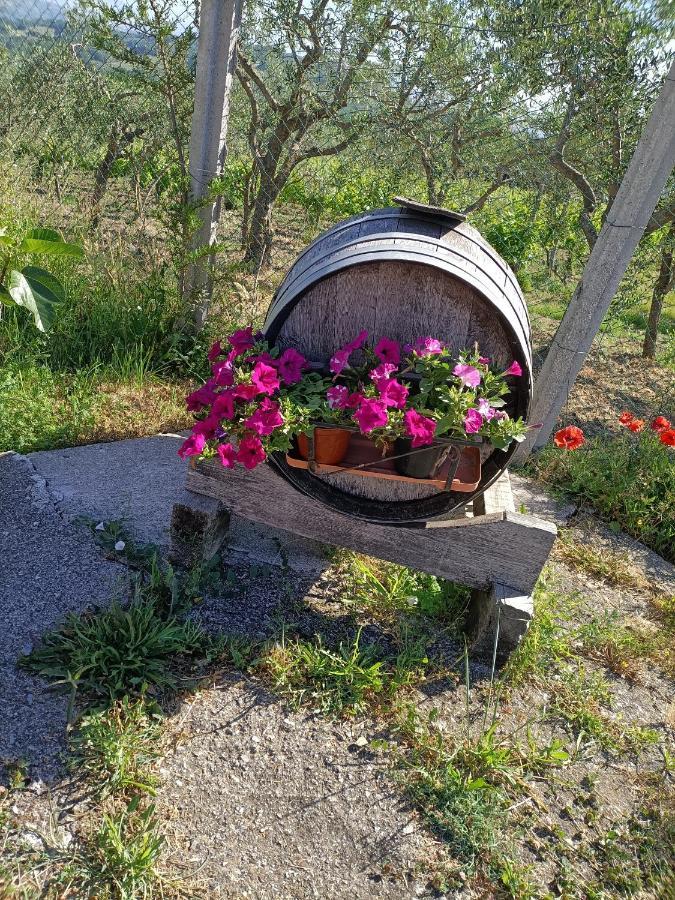 Agriturismo Macchia Dei Briganti - B&B Montefalcione Экстерьер фото